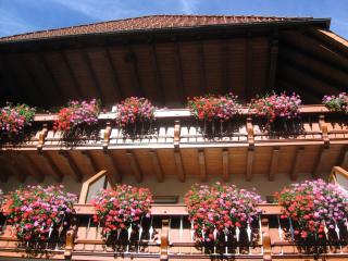 Hotel Gasthaus Zum Hirschen - Simonswald - 4