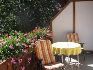 Hotel Gasthaus Zum Hirschen - Simonswald - 3