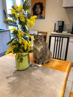 Chambre 2 côté sud chez particulier 1 lit 2 personnes - 8