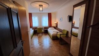 Hotel-Gasthof Goldener Greifen - 4