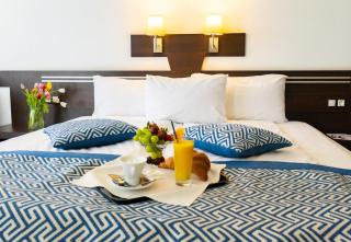 Grami Hotel Sofia - Sofia - 0