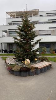 Moderne, barrierefreie Ferienwohnung - Plauen - 5