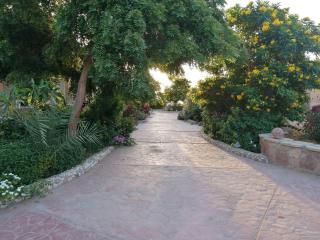 Silver Beach Boutique Hotel - Quseir - 5