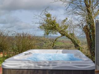 Gamekeepers Cottage - Newchapel - 8
