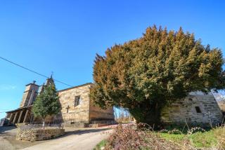 Casas Rurales San Justo - San Justo - 5