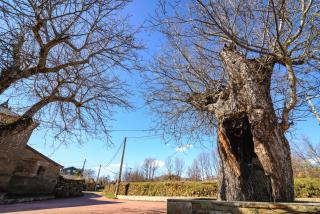 Casas Rurales San Justo - San Justo - 4