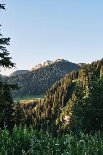 Berghotel Altes Wallberghaus - Rottach-Egern - 8