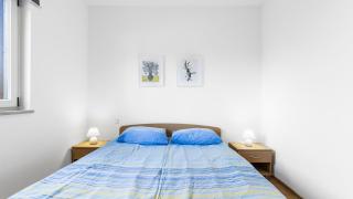 Apartment Kalister - Novigrad - 1