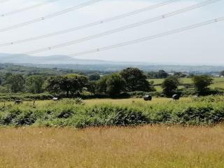 Converted rural stone cottage, Swansea - 1