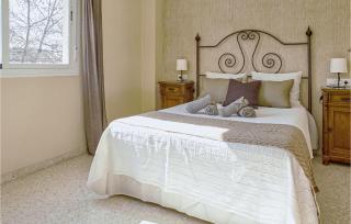 Pet Friendly Apartment - 4