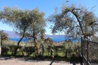 Relax in the Olive Grove - Toscolano-Maderno - 4