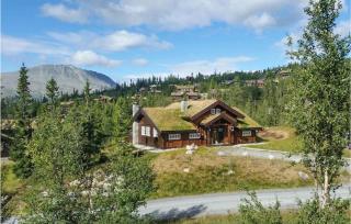 Beautiful Home In Rjukan With Sauna - Rjukan - 1