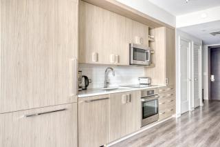 Bethesda 1BR w Gym WD Lounge nr Metro WDC-538 - Bethesda - 4