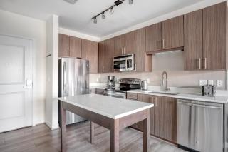 Potomac Yard City 1br w wd gym nr airport WDC-604 - 4