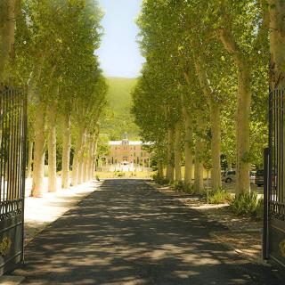 Le Parc château Gipieres - Montbrun-les-Bains - 0
