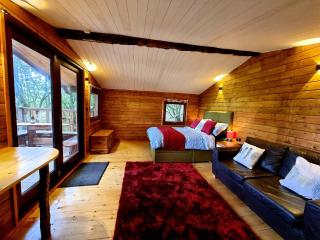 Tree House - Aberaeron - 6