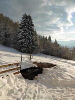 MASO PIAZZERA (cipat 022236-AT-670410) - Vigolo Vattaro - 1