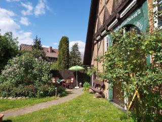 Ferienhof-Jameln-Lueneburger-Heide - 2