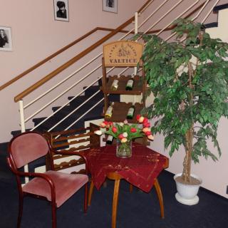 Apartmany Cesky Dvur - Marienbad - 9