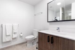 Central Sq 1BR w Gym DM nr Central Sq T BOS-256 - 2