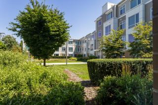 Cambridgeport 1BR w WD near MIT BOS-735 - Cambridge - 7