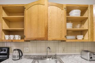 Ideal Longwood 1BR nr Mission Park BOS-668 - Boston - 3