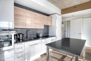 Fenway 2br w wd roof gym nr Fenway Park BOS-858 - Boston - 4