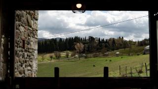 Agriturismo Podere le Fornaci - Greve in Chianti - 1