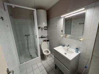 T1 bis cosy-proche campus et stade des alpes - Grenoble - 3