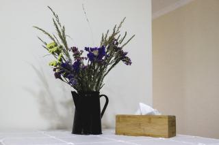 Taniq Guesthouse - - 6