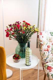 Silvie Apartments - Šmeralova - Olomouc - 2