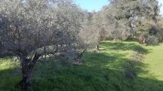 Cascina delle Rose - 1