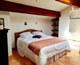 La Chouette de Camargue - Aigues-Mortes - 0