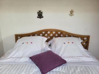 La Chouette de Camargue - Aigues-Mortes - 7