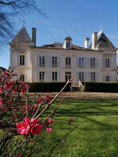Domaine de Préfond - Bengy-sur-Craon - 4
