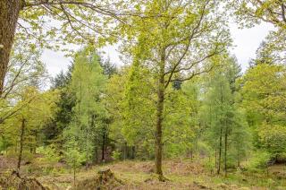 Brathay Hall - Brathay Trust - 5