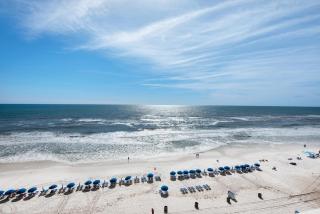 Celadon 703 - Panama City Beach - 8