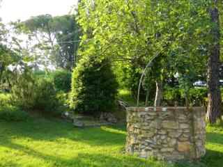 Agriturismo Campo Al Sole - Castell’Anselmo - 4
