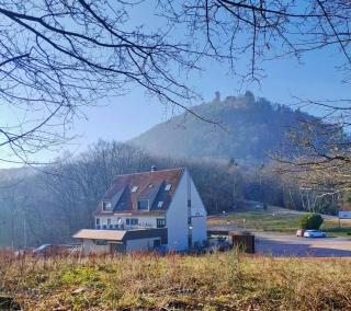 Au pied du Château - Orschwiller - 0