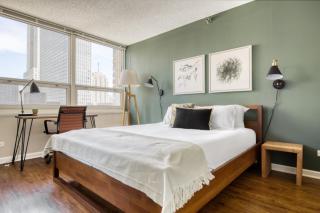River N 1BR w Gym WD nr Magnificent Mile CHI-54 - 3