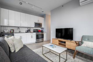 Loop 1BR wGym Roofdeck WD nr W Loop the L CHI-200 - 8