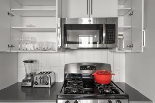 Loop 1BR w Gym Roofdeck WD nr W Loop the CHI-210 - 5