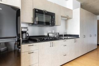 Lincoln Park Studio w WD nr L New City CHI-304 - Chicago - 5