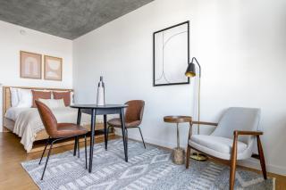 Lincoln Park Studio w WD Patio nr L CHI-328 - 6