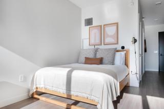S Loop Studio w Pool Gym nr Grant Park CHI-347 - Chicago - 3