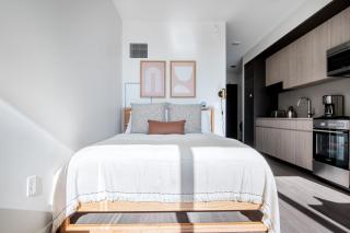 S Loop Studio w Pool Gym nr Grant Park CHI-347 - Chicago - 4