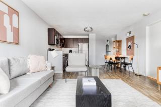 Gold Coast 1BR w Gym Lounge 1 block from L CHI-543 - 8