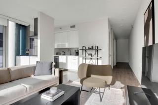 River N 1BR w Gym Lounge Roof 1 block to L CHI-660 - 9