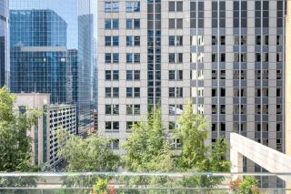Loop Studio w gym pool lounge 1 block from L CHI-694 - Chicago - 6