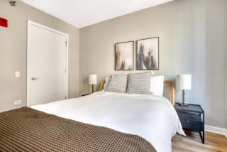 Loop 1BR w gym pool lounge 1 block from L CHI-700 - 3